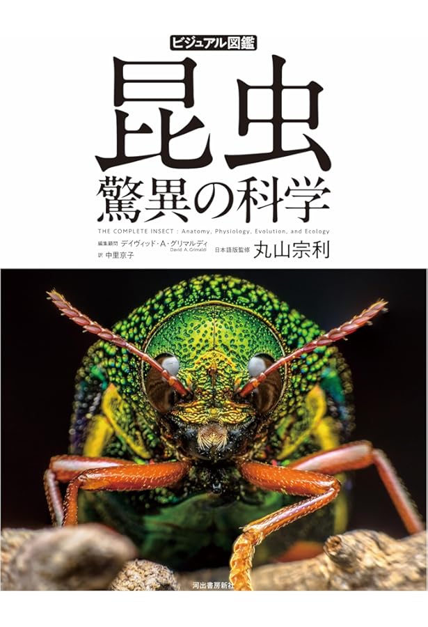 Amazon.co.jp: アリの巣の生きもの図鑑 : 丸山 宗利: 本
